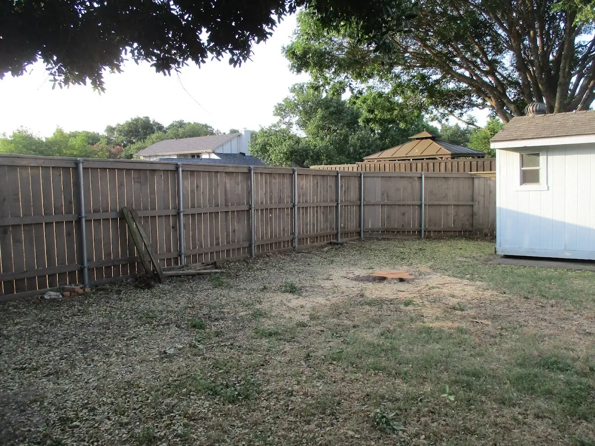 Cleared yard after professional tree removal in Wyoming